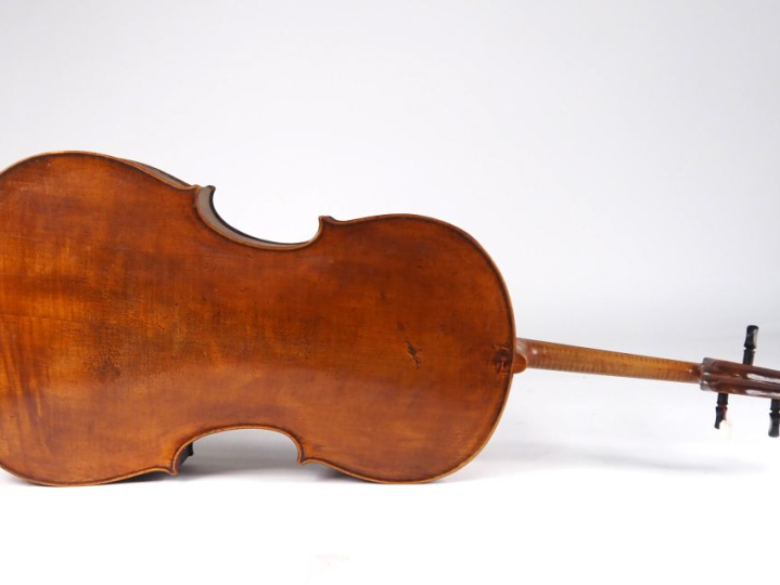 Très rare Violone Tyrolien arlequin, dos, tête et eclisse Tyrole fait 