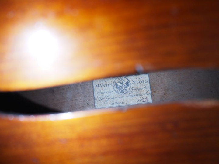 Très rare Violone Tyrolien arlequin, dos, tête et eclisse Tyrole fait 