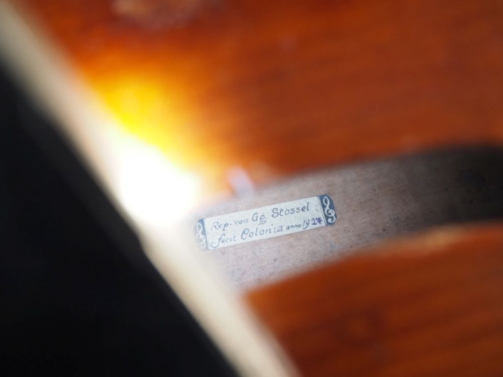 Très rare Violone Tyrolien arlequin, dos, tête et eclisse Tyrole fait 