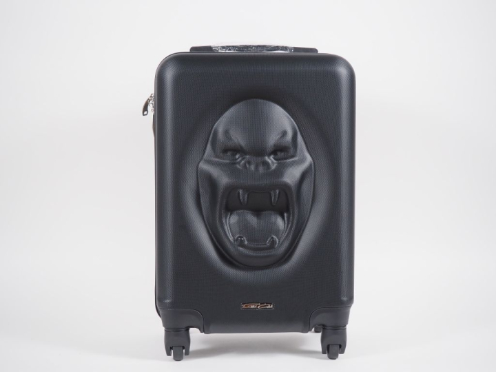 Richard ORLINSKI.  Enceinte et valise Kong Escape H. de la valise :  H