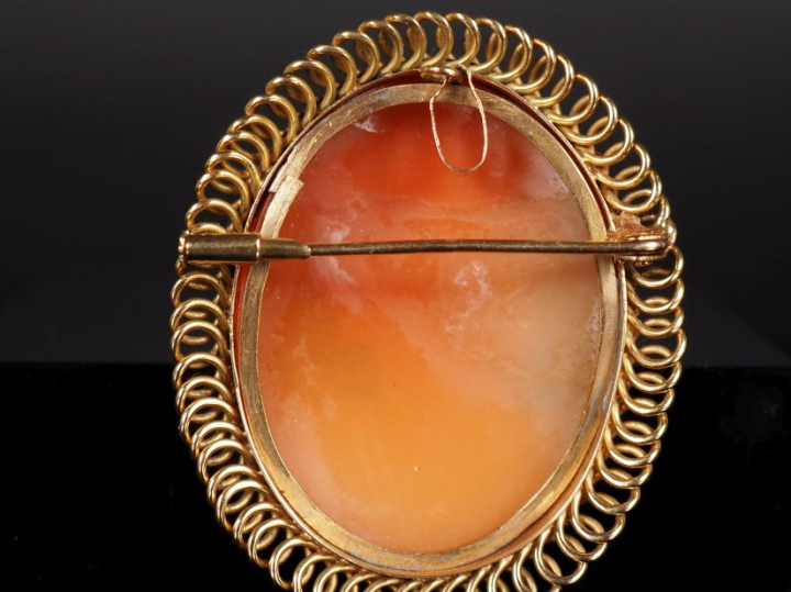 Broche/pendentif de forme ovale en or jaune 750, sertie en son centre 