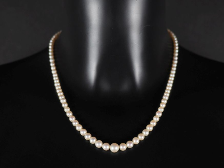 Collier de perles blanches disposées en chute.  Fermoir en plaqué or. 