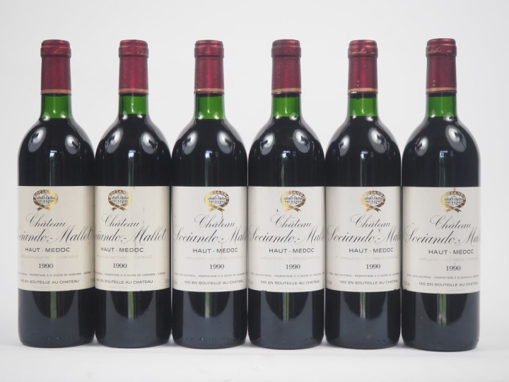 6 BOUTEILLES CHÂTEAU SOCIANDO MALLET HAUT MÉDOC - 1990 - BG