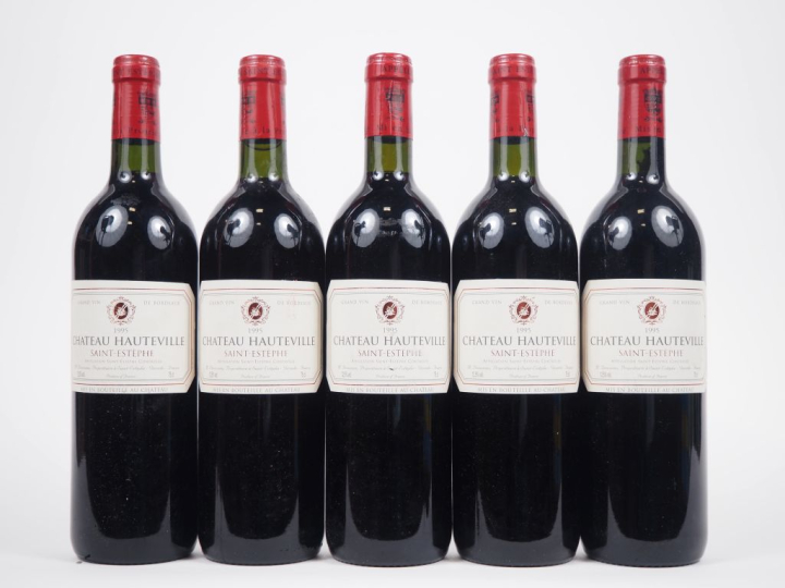 5 BOUTEILLES CHÂTEAU HAUTEVILLE ST ESTÈPHE - 1995 