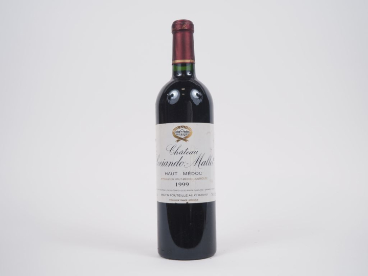 1 BOUTEILLE CHÂTEAU SOCIANDO MALLET HAUT MÉDOC - 1999 