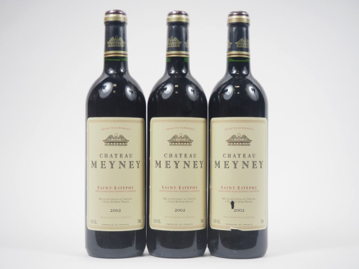 3 BOUTEILLES CHÂTEAU MEYNEY ST ESTÈPHE - 2002 - 1 ELA 