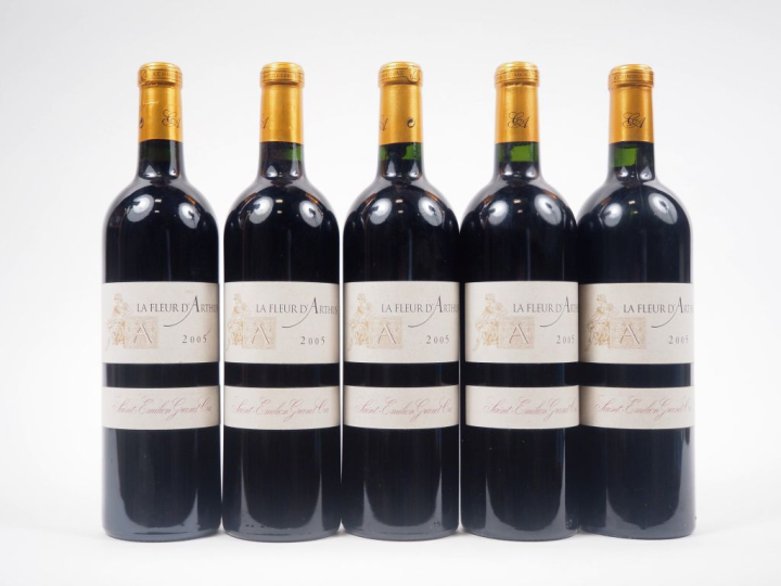 5 BOUTEILLES LA FLEUR D'ARTHUS GC ST ÉMILION - 2005