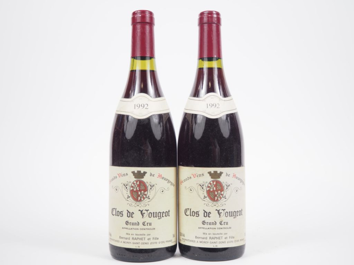 2 BOUTEILLES CLOS DE VOUGEOT GC BERNARD RAPHET ET FILLE - 1992 