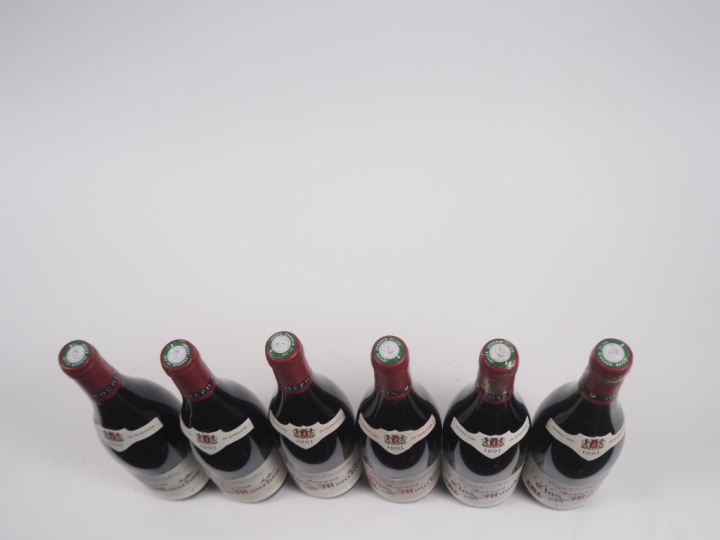 6 BOUTEILLES BEAUNE "CLOS DES MOUCHES" JOSEPH DROUHIN - 1993 - 4 à 1,7