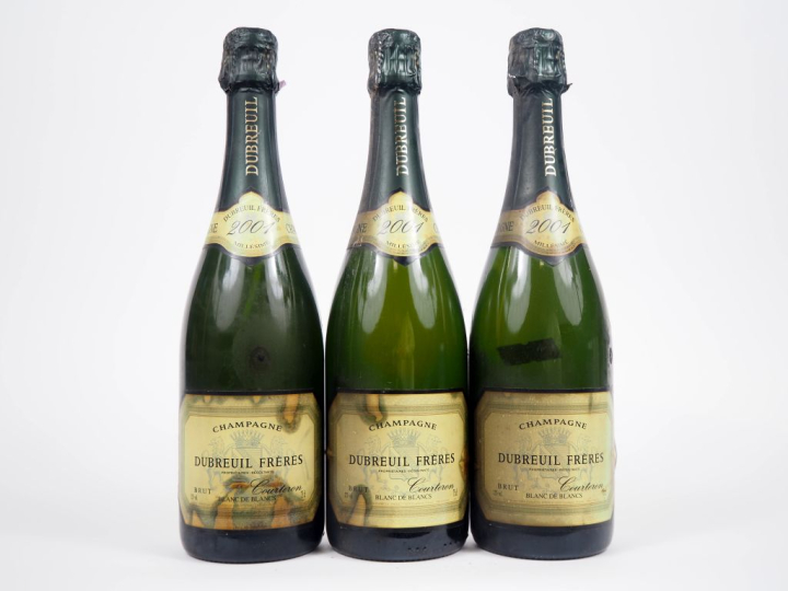 3 BOUTEILLES CHAMPAGNE DUBREUIL FRÈRES - 2001 - ET 