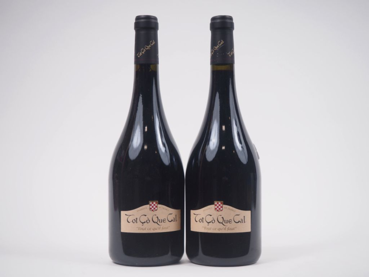 2 BOUTEILLES CHÂTEAU PALAISANCE "TOT CO QUE CAL" FRONTON - 2003