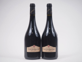 Vente aux enchères 2 BOUTEILLES CHÂTEAU PALAISANCE "TOT CO QUE CAL" FRONTON - 2003