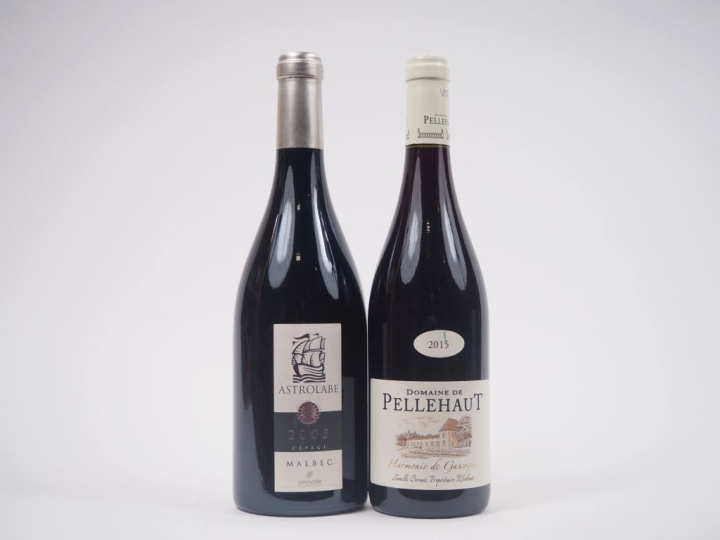 2 BOUTEILLES : 1 ASTROLABE MALBEC 2005 - 1 DOMAINE DE PELLEHAUT "HARMO