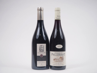 Vente aux enchères 2 BOUTEILLES : 1 ASTROLABE MALBEC 2005 - 1 DOMAINE DE PELLEHAUT "HARMO