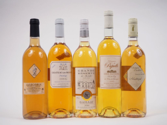 Vente aux enchères 5 BOUTEILLES : 1 SAUVIGNON BLANC "ALLÉGORIA" 2008 - 1 GAILLAC CHÂTEAU 