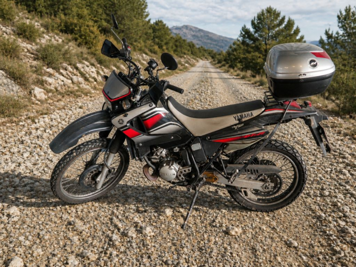 YAMAHA DTR 125 :  Numéro de série : VTLDE061000013110. 1ère M.E.C : 20