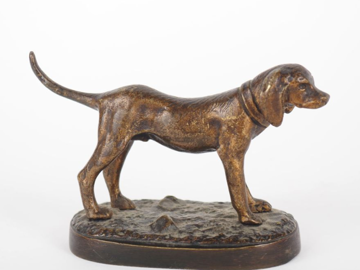 Ecole française début Xxème. "Chien de chasse". Sujet en bronze. Dim. 