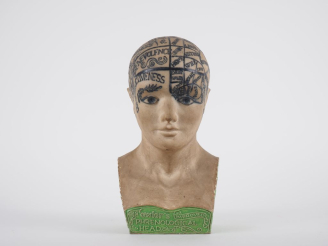 Vente aux enchères Ecole anglaise Xxème "Phrenological Head" Sculpture en plâtre polychro