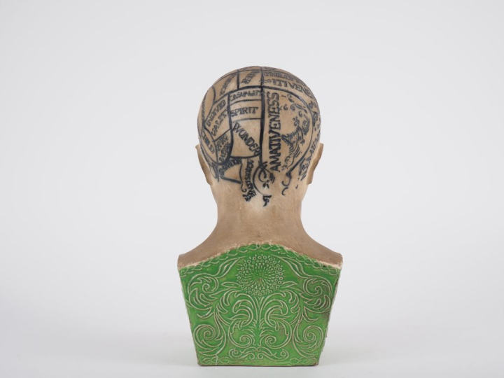 Ecole anglaise Xxème "Phrenological Head" Sculpture en plâtre polychro
