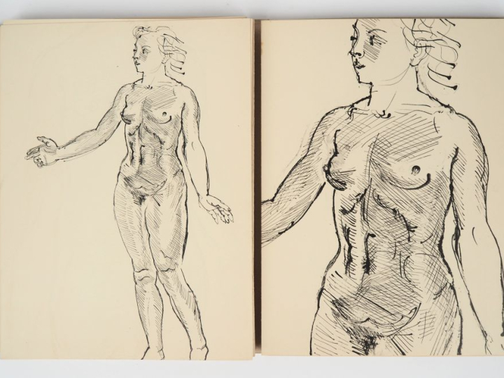 DUFY (Raoul). DESSINS ET CROQUIS EXTRAITS DES CARTONS ET CARNETS DE RA
