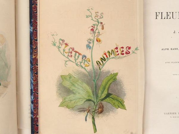 [GRANDVILLE]. LES FLEURS ANIMÉES par J. J. GRANDVILLE. Texte par Alpho