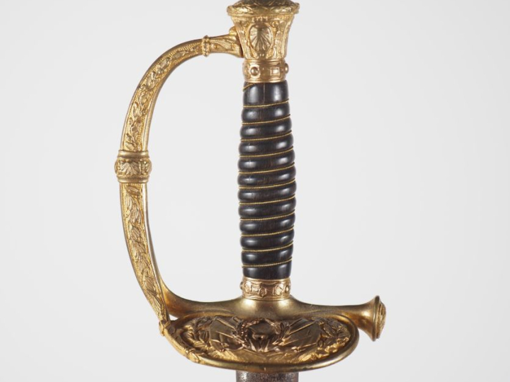 Épée d’officier toutes armes.  Poignée en corne avec filigrane. Montur