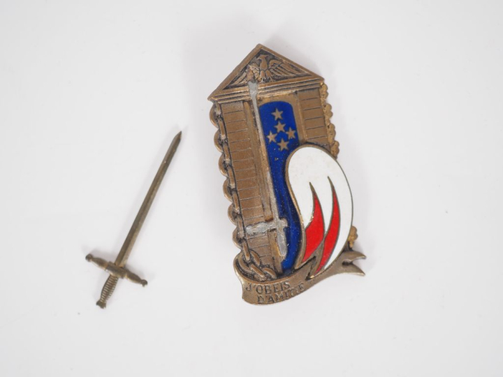 ESM SAINT-CYR Douze insignes :  Rhin   Danube (2 variantes, une Drago 